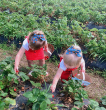 Charger l'image dans la galerie, Bouclette denim fraises
